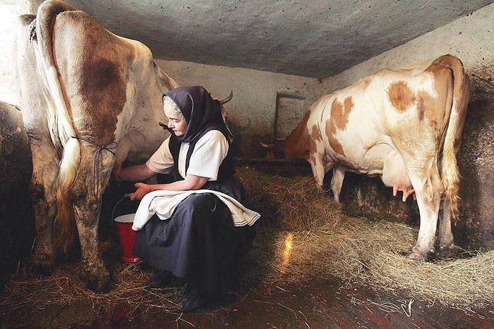 10013162_867553559937555_550071047_n - Acelasi sat minunat