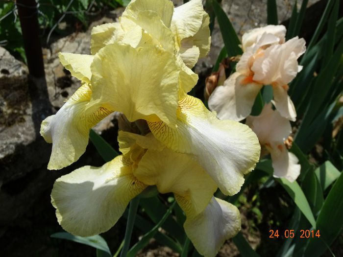 DSC03804
