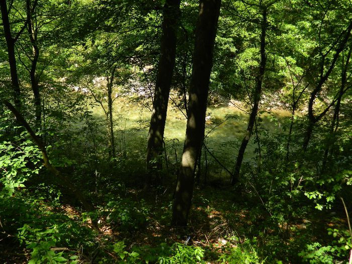 DSCN9805 - HERCULANE_MAI_3_2014