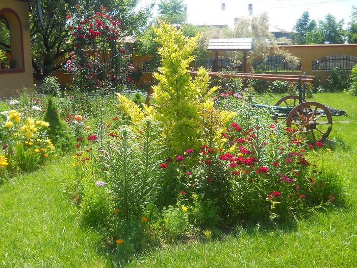 Picture 222 - GRADINA 2014