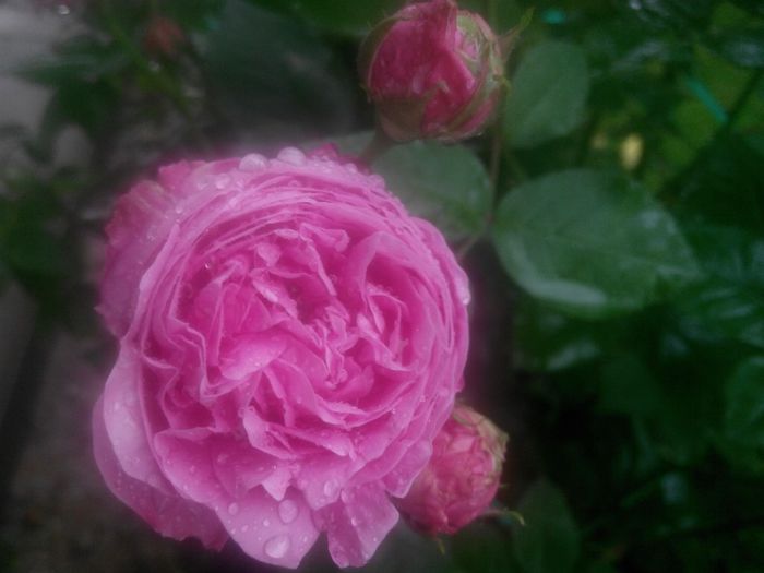 IMG_20140530_083628_1