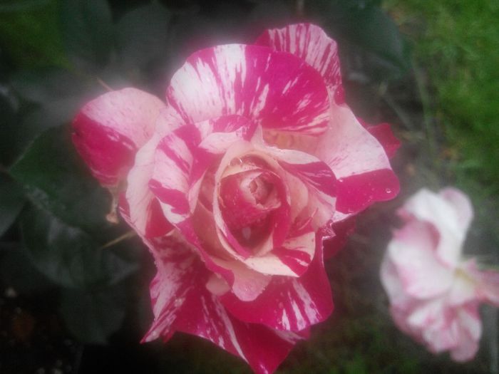 IMG_20140530_083843_1