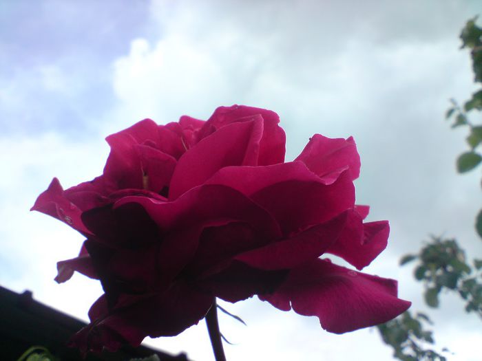 DSC00013