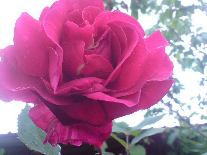 DSC00015