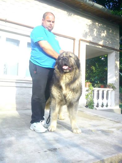 Bruno 3 ani