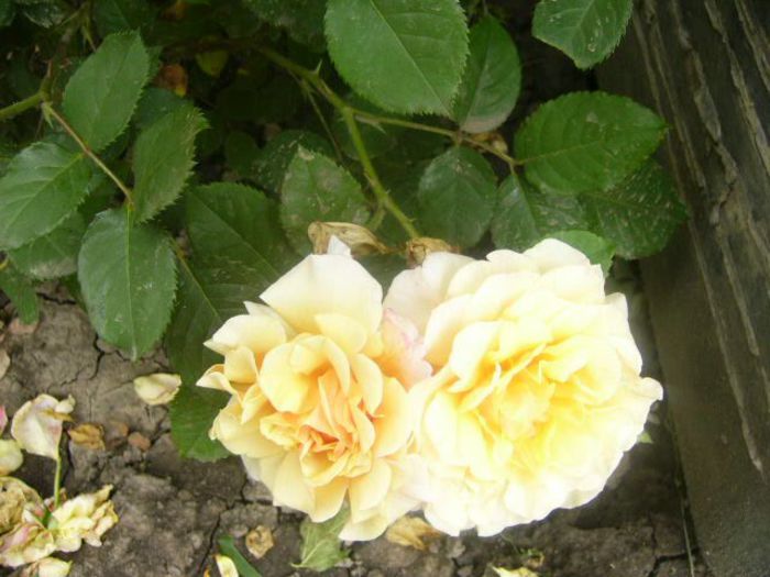 P1220234