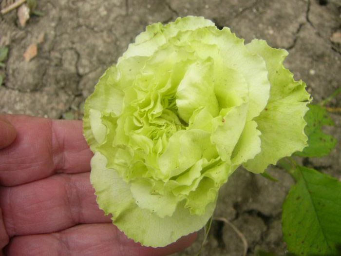 P1220244
