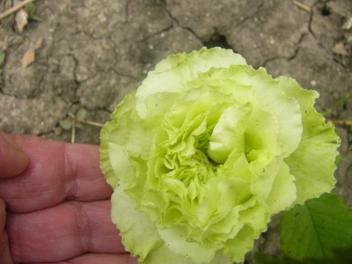 P1220246