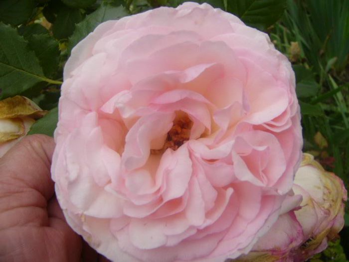 P1220262