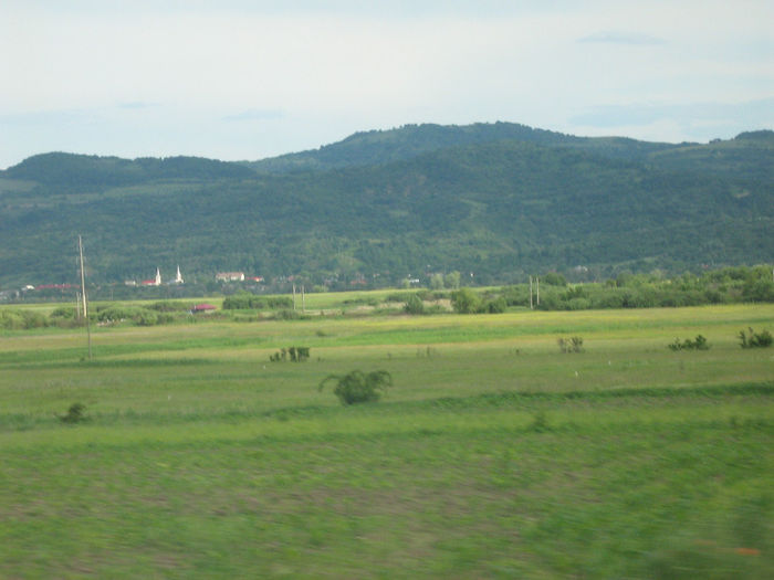 in natura 029