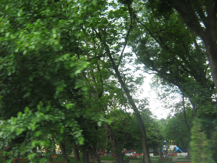 in natura 004