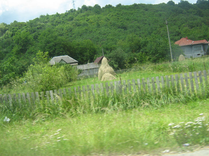 in natura 006