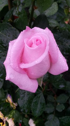 20140530_083127