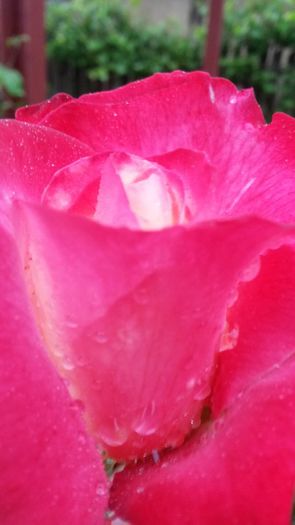 20140530_083254