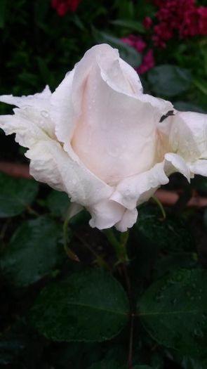 20140530_083734