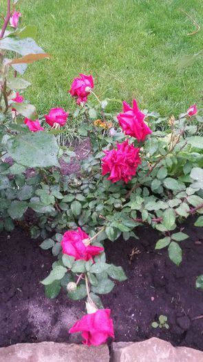 20140530_083839