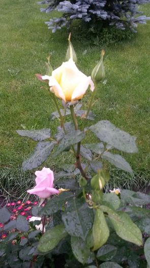 20140530_083905