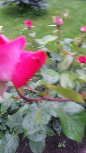 20140530_083922