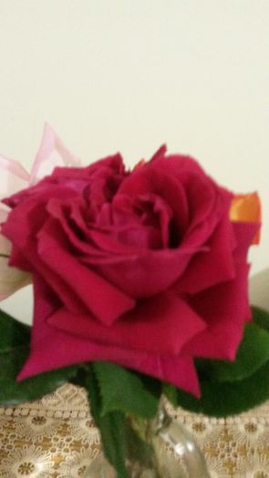 20140530_084752
