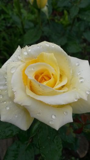 20140530_122441