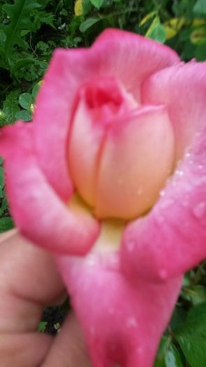20140530_122749