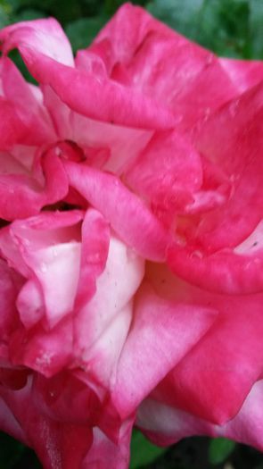 20140530_181007