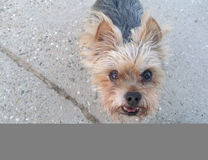  - Diverse 1 - Plimbari