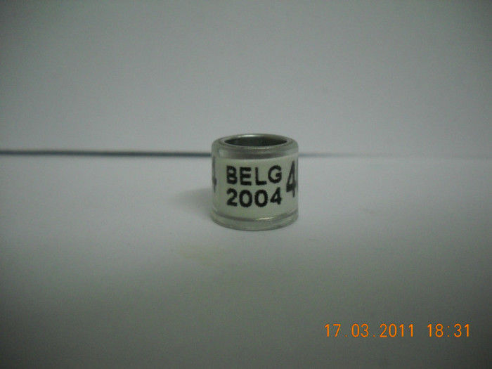 belg 04