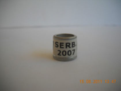 serb 07 - SERBIA