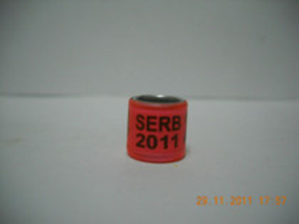 serb 11