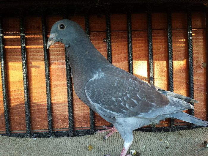 20140512_192451 - E-Amintiri