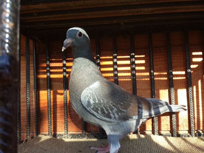 20140512_185657 - E-Amintiri