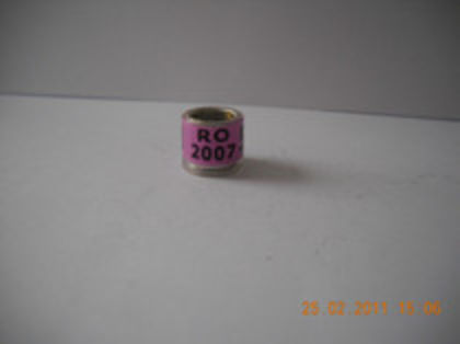 RO 07