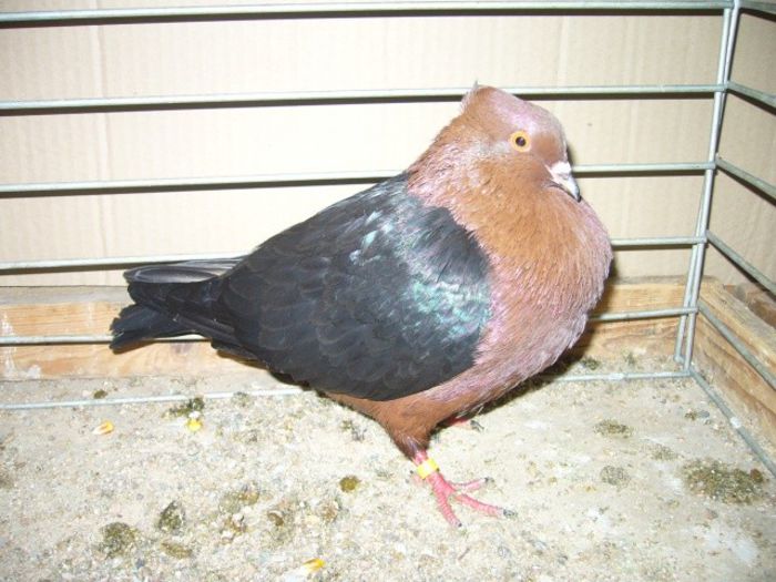 95