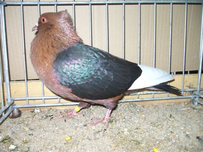 99