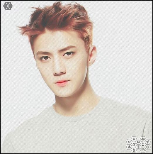 140420-sehun-exo-new-picture-for-dongdaemun-design-park-photocard-via-2x5_twelve - exo - 140420 EXO - picture for dongdaemun