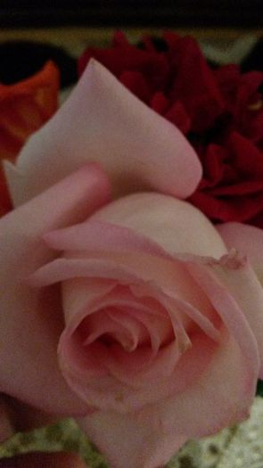 20140531_114612