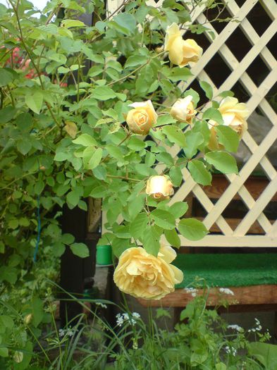 DSC00030