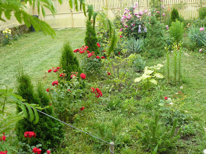P1150412 - Gradina rozelor_2014