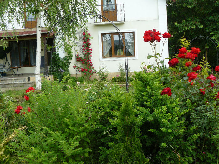 P1150452 - Gradina rozelor_2014