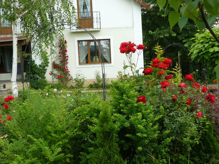 P1150453 - Gradina rozelor_2014