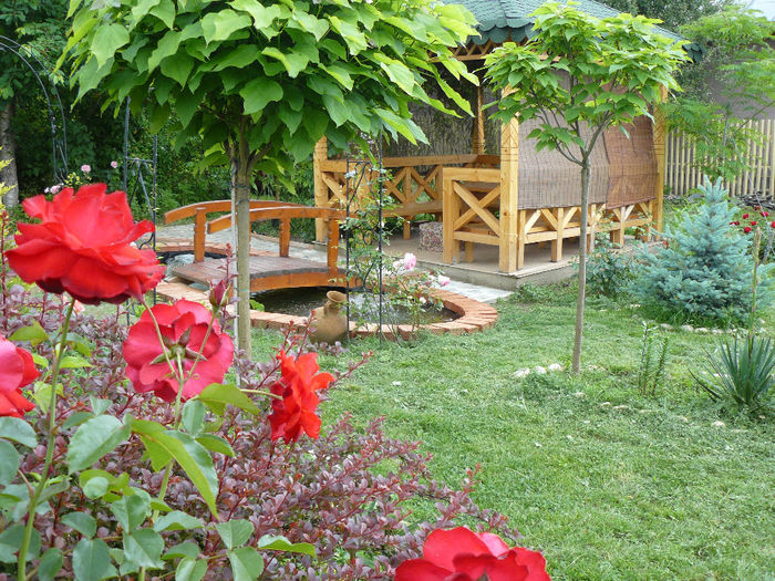 Foc de tabara - Gradina rozelor_2014
