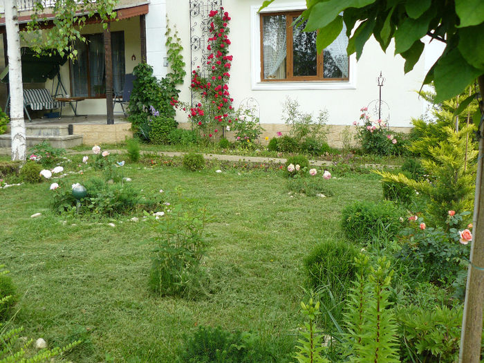 P1150457 - Gradina rozelor_2014