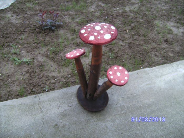 BILD4217 - florile surorii mele oty