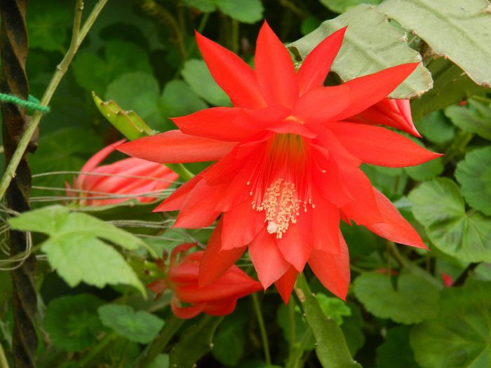 DSCN0751 - MAI_2_2014