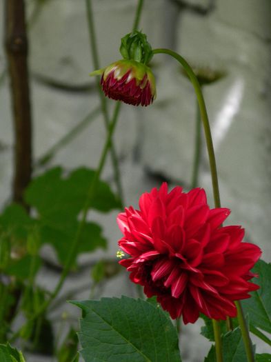 DSCN0757 - MAI_2_2014