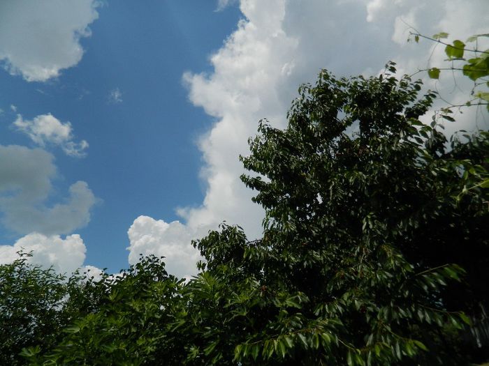 DSCN0776 - MAI_2_2014