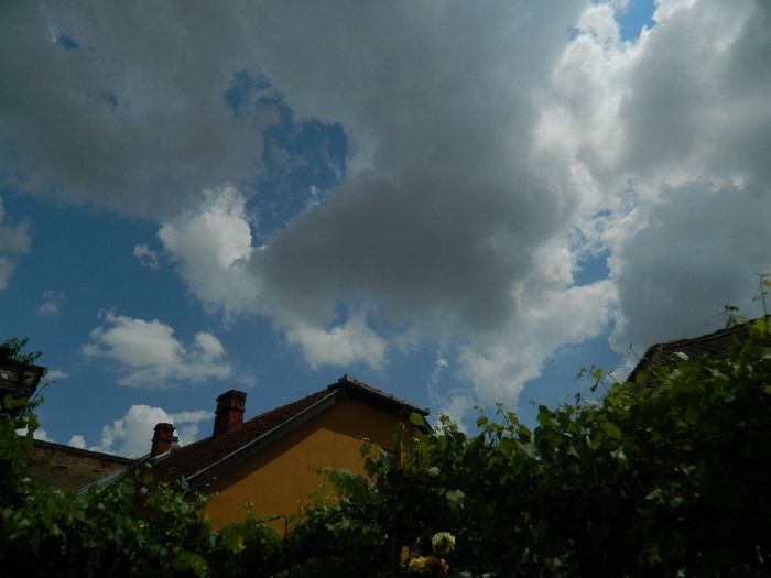 DSCN0784 - MAI_2_2014