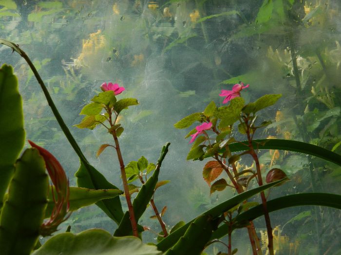 DSCN0818 - MAI_2_2014