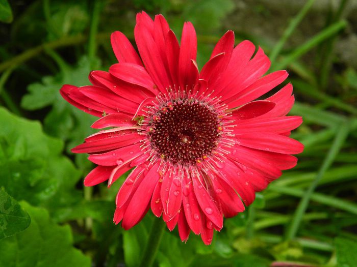 DSCN0841 - MAI_2_2014